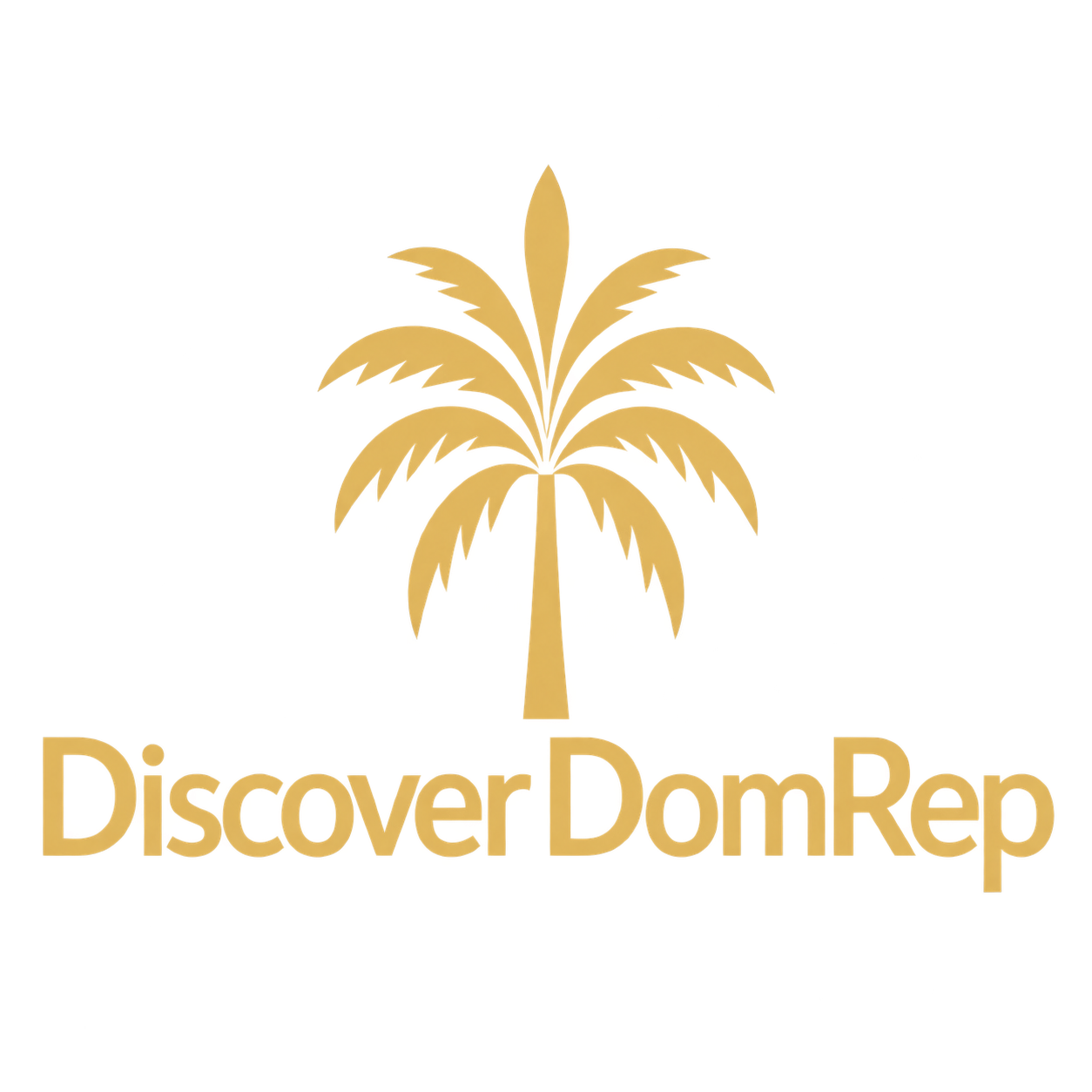 Discover DomRep logo